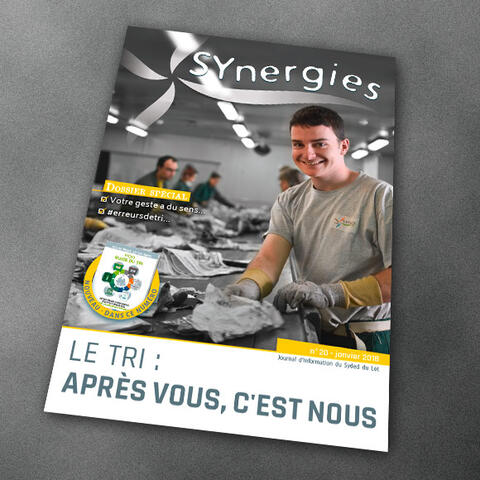 SYnergies n°20