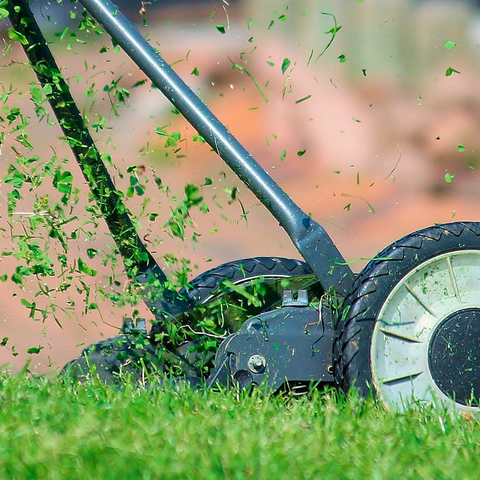 L'herbe coupée, les feuilles mortes et les déchets de cuisine se compostent