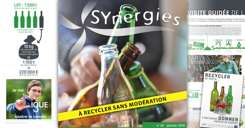 SYnergies n°22