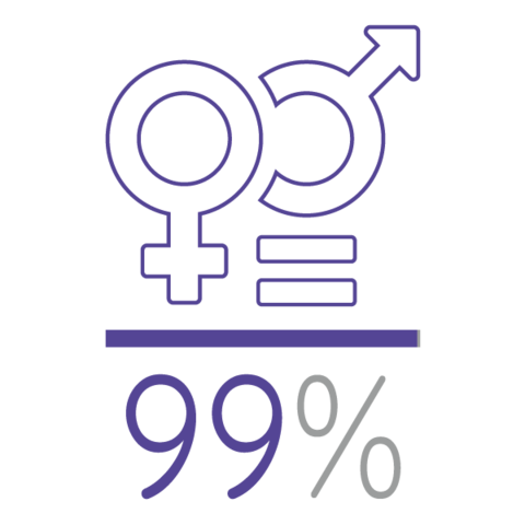 99/100 résultat de l'égalité femmes/hommes au Syded