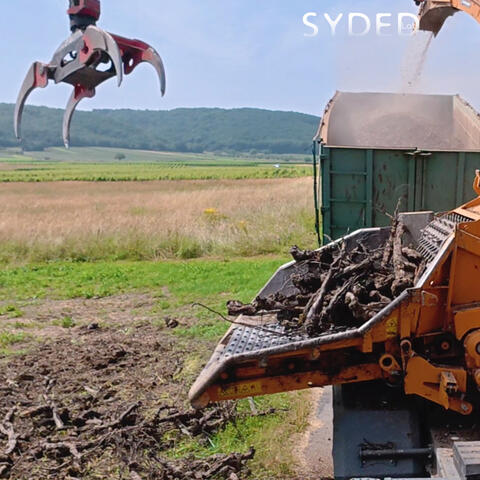 Valorisation de ceps de vigne pour chauffer les Lotois