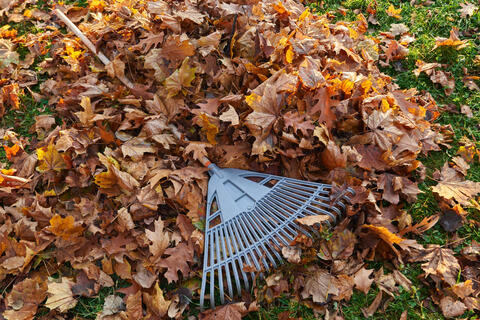 Tontes et feuilles ne sont pas des déchets