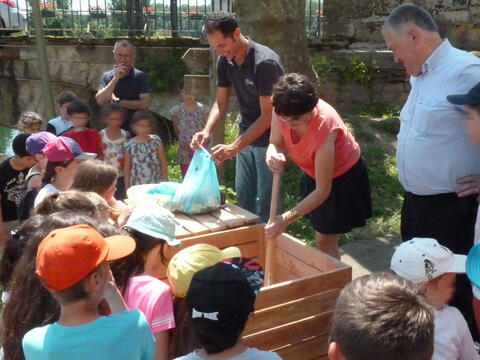 Mise en place d'un composteur collectif dans une école