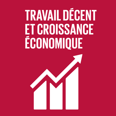 Syded - travail décent et croissance économique