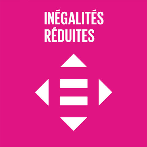 Syded - inégalités réduites