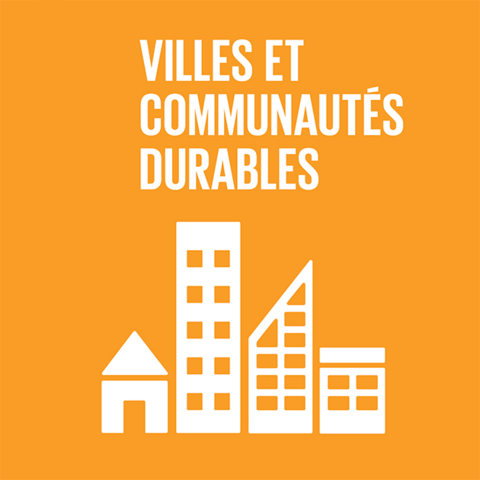 Syded - villes et communautés durables
