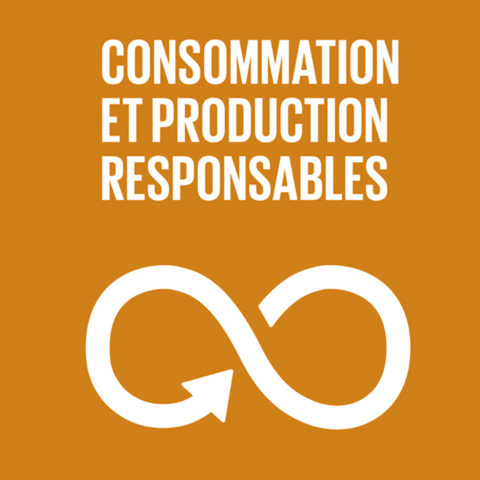 Syded - consommation et production responsable