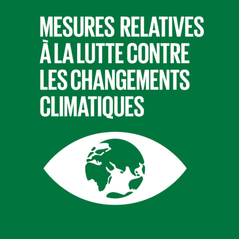 Syded - lutte contre le changement climatique